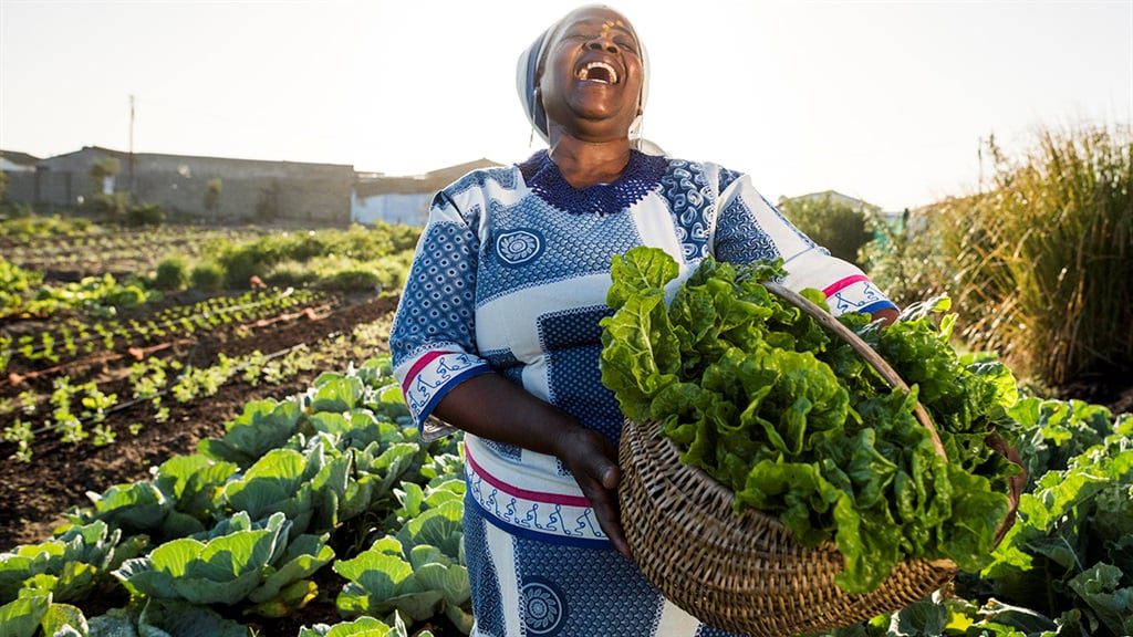 c80a7d53de114f448cb7cd45afefc932