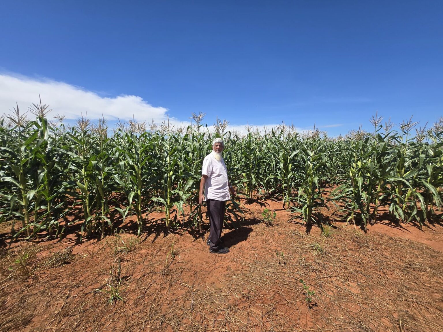 Five Decades of Farming Wisdom and Mentorship for South Africa’s Future ...