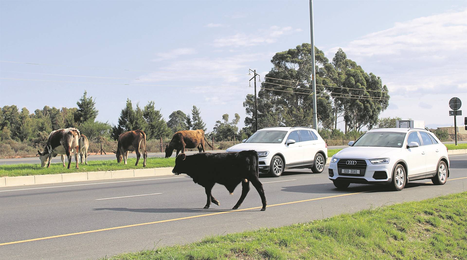 South Africa’s Worst Road Surprises