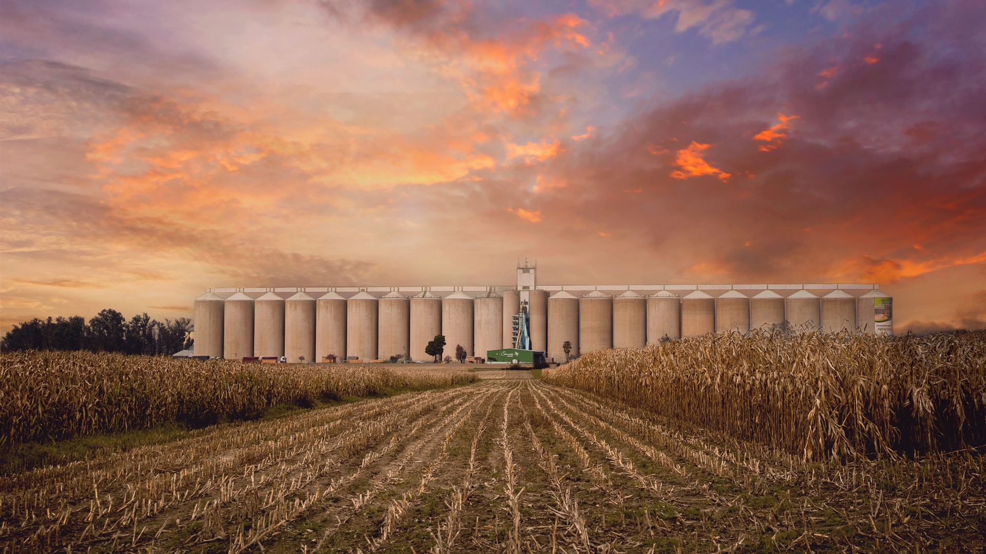 Senwes’s relentless expansion beyond the farm gate