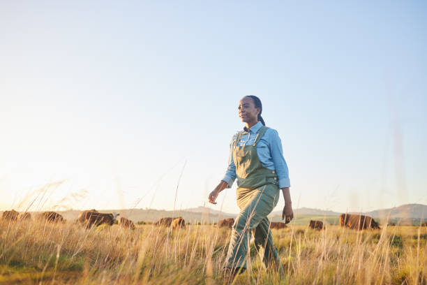 Woman, farmer and walking in countryside on grass field with cow and cattle worker. African female person, and agriculture outdoor with animals and livestock for farming in nature with mockup space