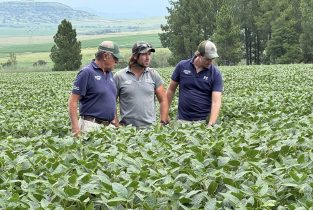 622807956_1339218981576601_895444732583479535_n