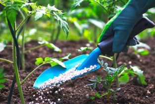 Agricultural-input-access-to-farmers-with-AfDBs-investment