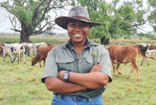 Blue and Green Modern Web Custom Services Banner Landscape (3)