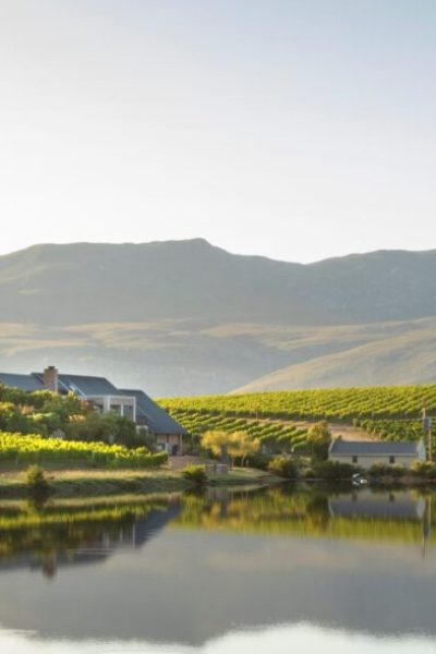 Creating picture perfect memories with wine and food pairing