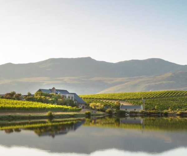 Creating picture perfect memories with wine and food pairing