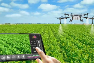 Precision-Farming