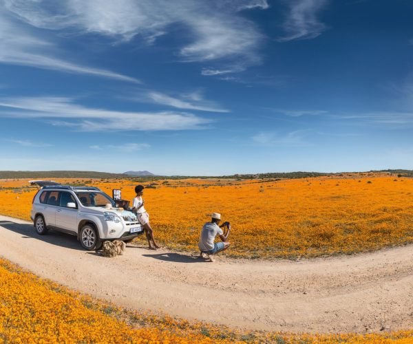 Guide to preparing for a road trip