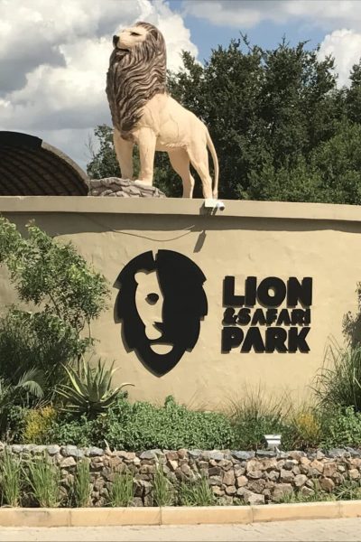 A Fun Day Out at Lion & Safari Park in Gauteng