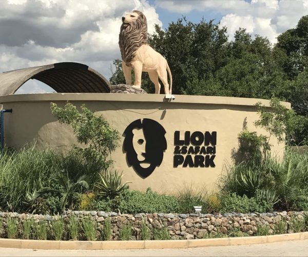 A Fun Day Out at Lion & Safari Park in Gauteng