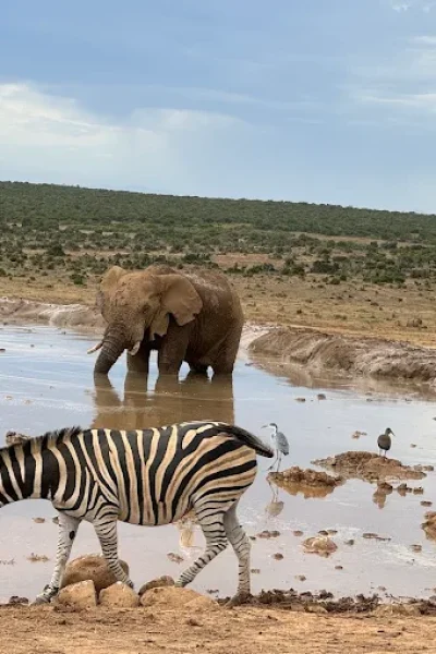 Xplore SA National Parks for Free This September!